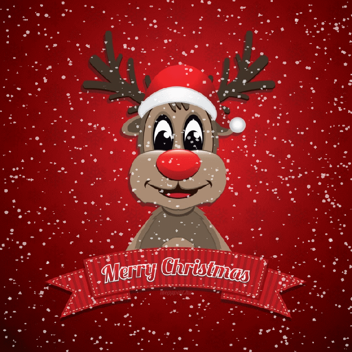 88-884185_merry-christmas-gif-download-merry-christmas-gif-funny