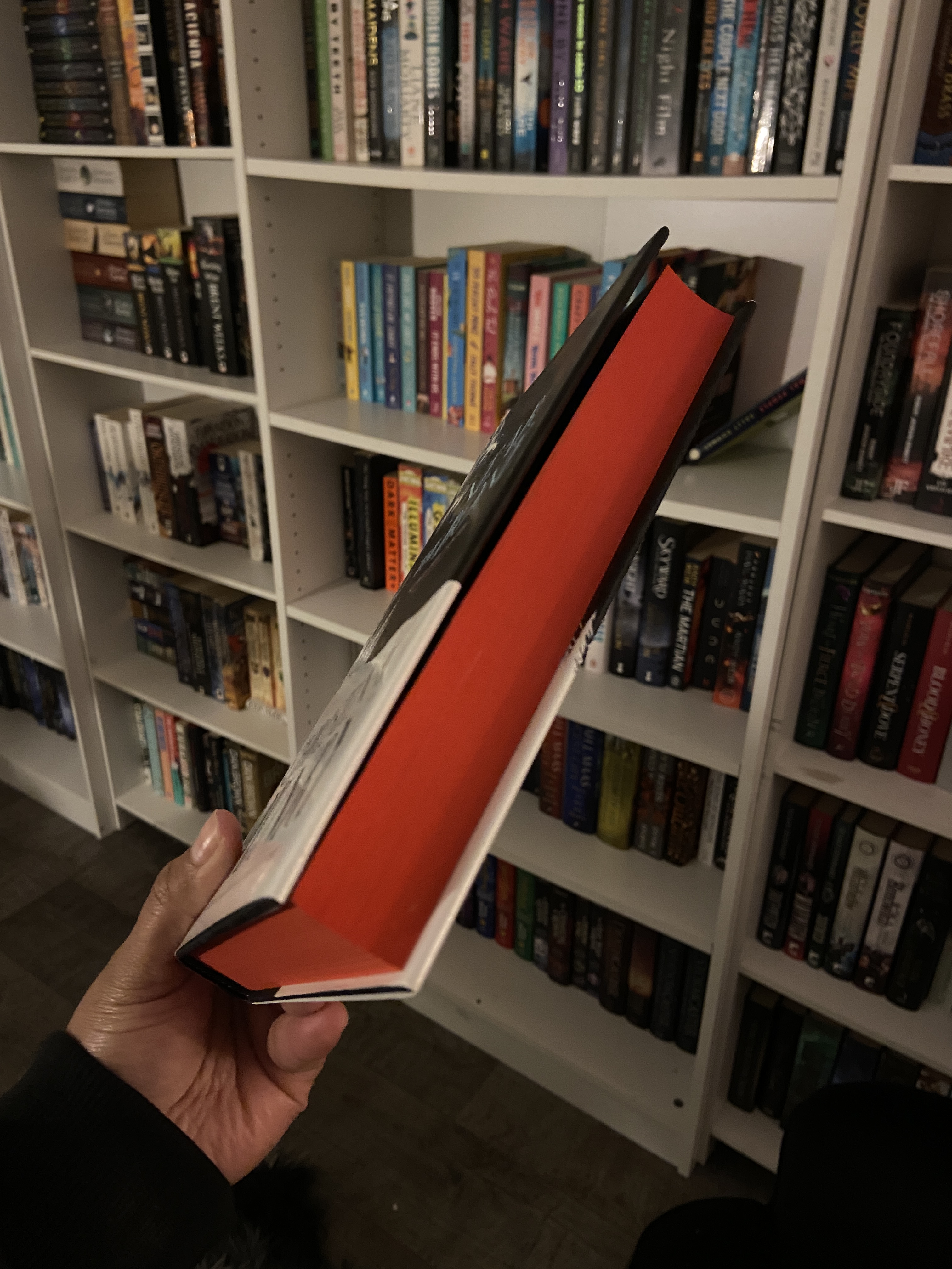 Photo 29-6-2023, 6 16 21 pm